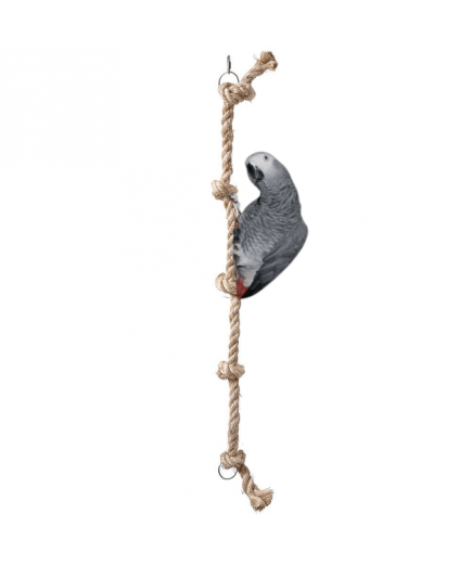 6 x Value Parrot Toy Pack Perfect For African Greys etc
